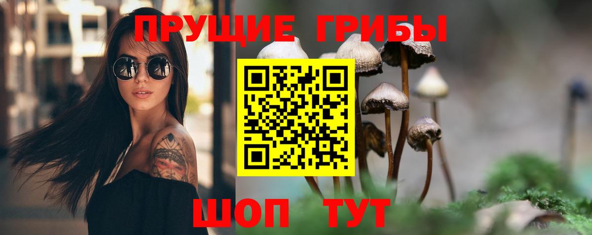 Галлюциногенные грибы Cubensis Бор